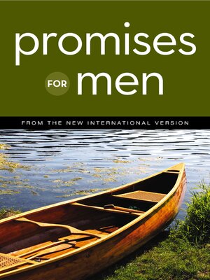 cover image of Promises for Men